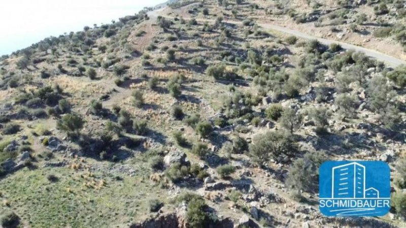 Agios Georgios bei Agia Galini Kreta, Agios Georgios: Grundstück mit Baugenehmigung für drei Häuser und einen Swimmingpool Grundstück kaufen